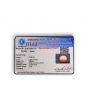 South Sea Pearl (Moti) 5.2 Carat 