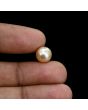 South Sea Pearl (Moti) 5.27 Carat 
