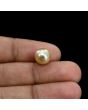 South Sea Pearl (Moti) 5.46 Carat 