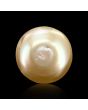 South Sea Pearl (Moti) 6.65 Carat 