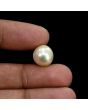 South Sea Pearl (Moti) 11.83 Carat 