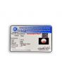 South Sea Pearl (Moti) 6.62 Carat 