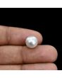 South Sea Pearl (Moti) 6.39 Carat 