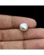 South Sea Pearl (Moti) 6.39 Carat 