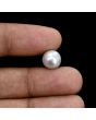 South Sea Pearl (Moti) 6.39 Carat 