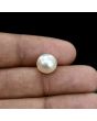 South Sea Pearl (Moti) 5.82 Carat 