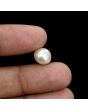 South Sea Pearl (Moti) 5.82 Carat 