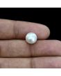 South Sea Pearl (Moti) 5.37 Carat 