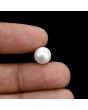 South Sea Pearl (Moti) 5.37 Carat 