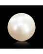 South Sea Pearl (Moti) 7.85 Carat 