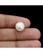 South Sea Pearl (Moti) 7.85 Carat 