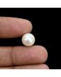 South Sea Pearl (Moti) 7.85 Carat 