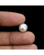 South Sea Pearl (Moti) 6.66 Carat 