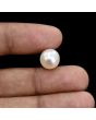 South Sea Pearl (Moti) 8 Carat 