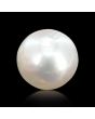 South Sea Pearl (Moti) 6.2 Carat 