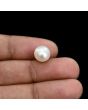 South Sea Pearl (Moti) 6.2 Carat 