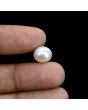 South Sea Pearl (Moti) 6.2 Carat 