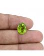 Afghani Peridot 5.39 Carat 