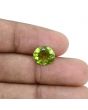 Afghani Peridot 3.17 Carat 
