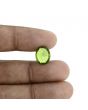 Peridot 4.67 Carat 