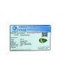 Peridot 5.85 Carat 