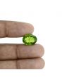 Peridot 11.47 Carat 
