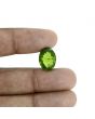 Peridot 11.47 Carat 