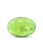 Peridot 11.62 Carat 
