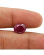 Ruby - 3.99 Carat 