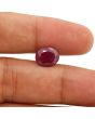 Ruby - 4.46 Carat 