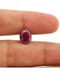 Ruby - 4.46 Carat 