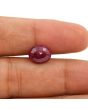 Ruby - 4.46 Carat 