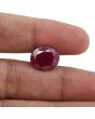 Ruby - 8.62 Carat 