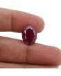 Ruby - 10.3 Carat 