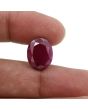 Ruby - 9.66 Carat 
