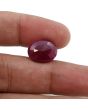 Ruby - 9.66 Carat 