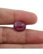 Ruby - 8.63 Carat 