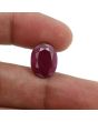 Ruby - 9.71 Carat 