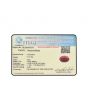 Ruby - 5.77 Carat 