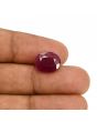 Ruby - 6.63 Carat 