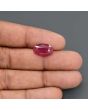 Mozambique Ruby Carat 6.41 
