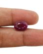 Ruby - 7.78 Carat 