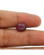 Ruby - 7.92 Carat 