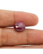 Ruby - 7.79 Carat 
