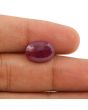 Ruby - 7.52 Carat 