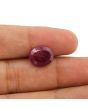 Ruby - 8.77 Carat 