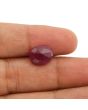 Ruby - 8.2 Carat 