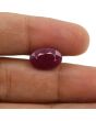 Ruby - 7.2 Carat 