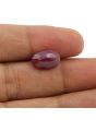Ruby - 7.2 Carat 