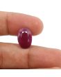 Ruby - 8.87 Carat 